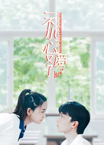 一不小心又爱了 海报