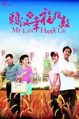 《赖汉的幸福指数》：中年男女的“爱情算术题”，熟龄爱情还能信吗？