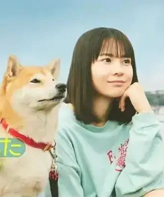 今日份的散步 海报